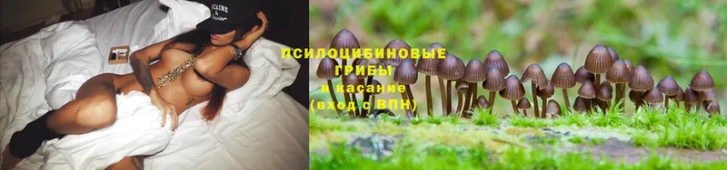 Псилоцибиновые грибы GOLDEN TEACHER  мега ссылка  Курган 